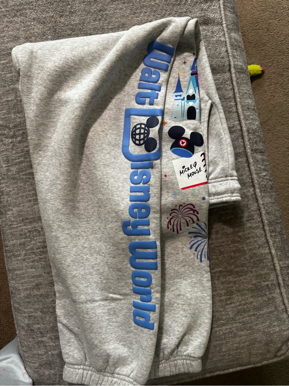 Disney World Sweatpants!